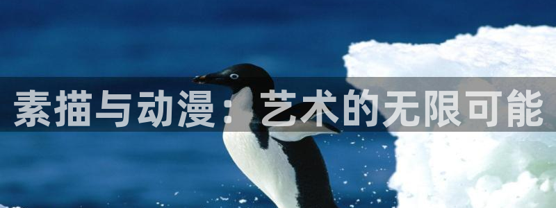 我家弟真的很棒樱花动漫：素描与动漫：艺术的无限可能