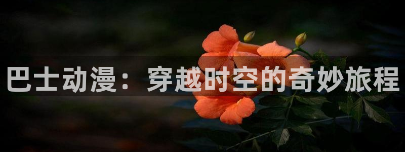 樱花动漫域名：巴士动漫：穿越时空的奇妙旅程