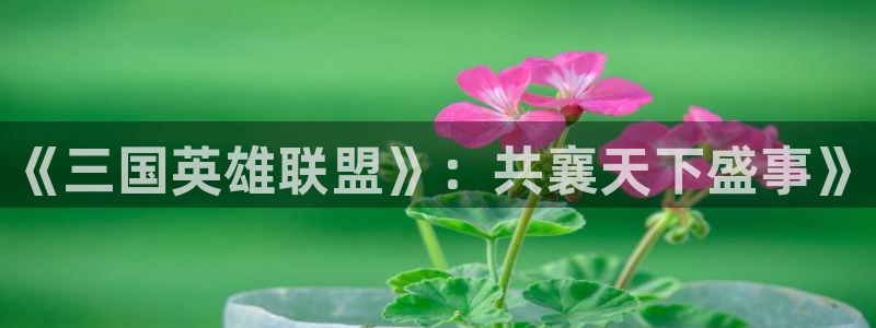 樱花动漫在线免费漫画：《三国英雄联盟》：共襄天下盛事》